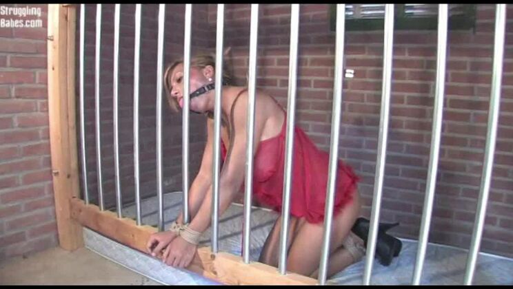 Cory bound and ballgagged in jail
