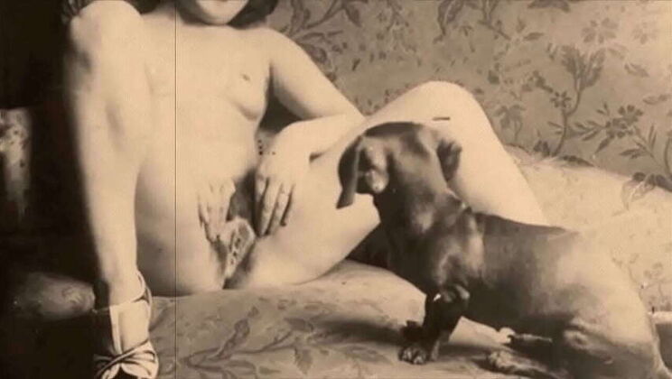 My Private World: Top 20 'Kitty & Canine' Highlights - Classic & Hairy