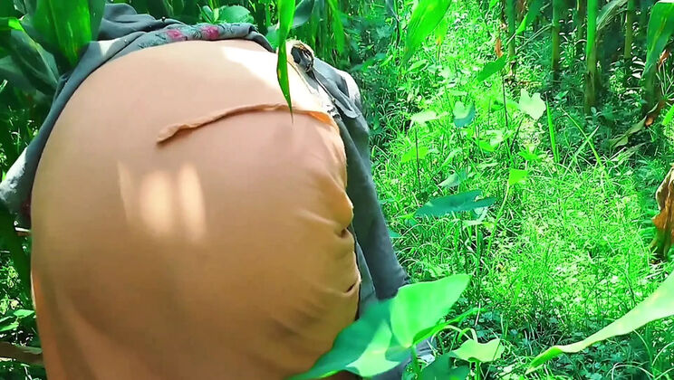 Deshi Bhabhi Fucked Hard in Cornfield - First Time Anal & Doggy Style