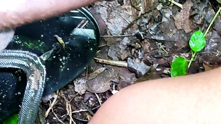 Desi Bhabhi Anita Fucks BBC in Jungle - Deep Throat & Tight Pussy