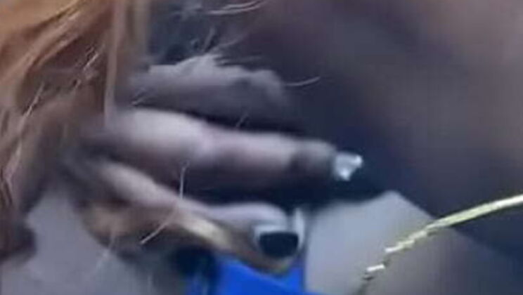 Ebony babe works hard for that nut - intense blowjob action