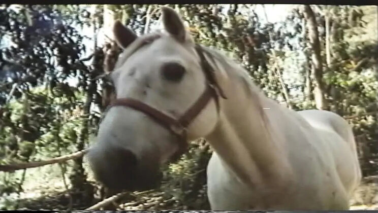 Desiree Cousteau Golden Age MILF Big Tits Hardcore Cumshot Orgasm HD