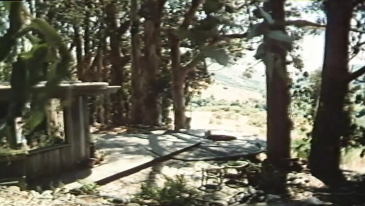 Annette Haven Golden Age MILF Hardcore with Cumshot and Big Tits