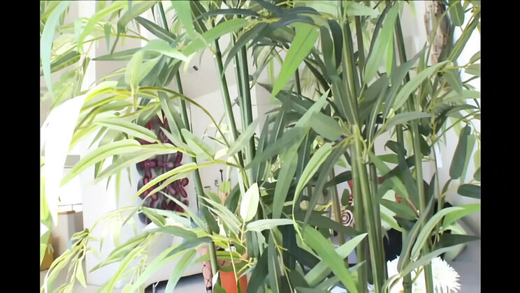 Blake Rose Queen Pussy Devotion Hardcore Blowjob Session