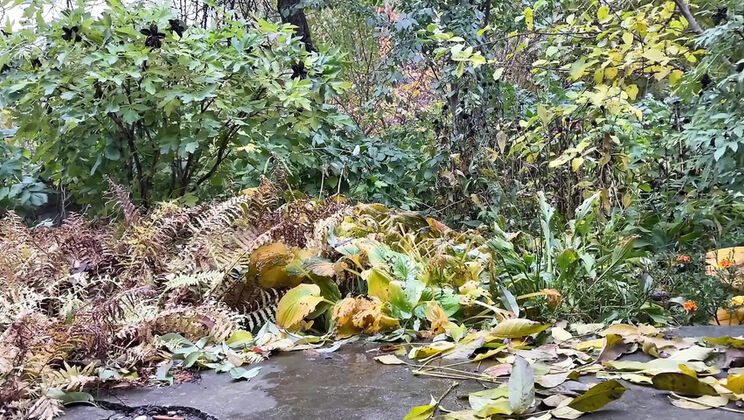 Mature Ukrainian MILF Pissing Doggystyle Outdoor - Hot Amateur Public Pee