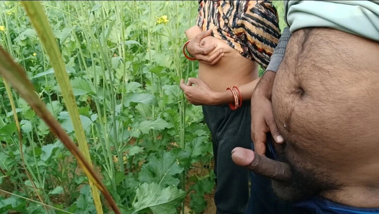 Desi Village Girl Fucked Hard in Mustard Field - Abiraj Big Cock Cumshot on Tits