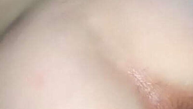 Jonnn Anal Fucks Neighbor Catty's Perfect Ass