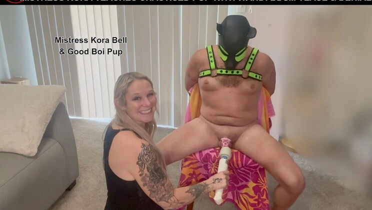 Mistress Kora Teases Locked Sissy with Hitachi Wand - Femdom Chastity Denial MILF